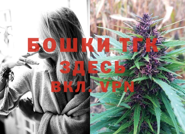 прущий лед Заводоуковск