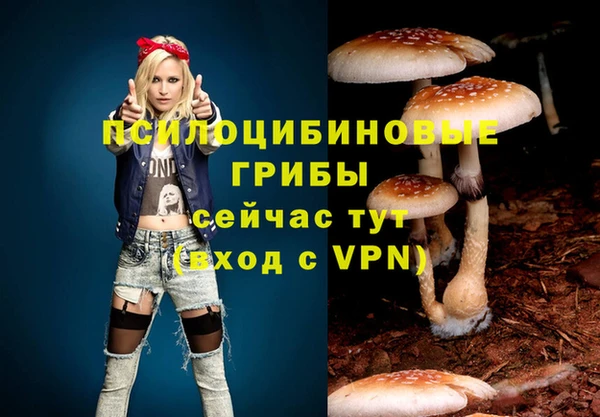 соль ск Заволжье
