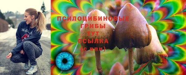 Альфа ПВП Заволжск